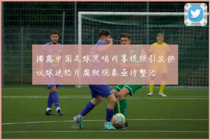 揭露中国足球黑哨内幕视频引发热议球迷怒斥腐败现象亟待整治