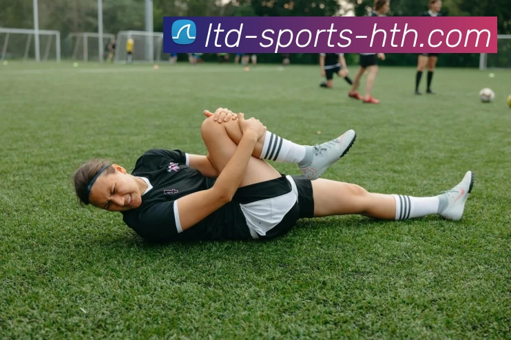 华体会平台生态图